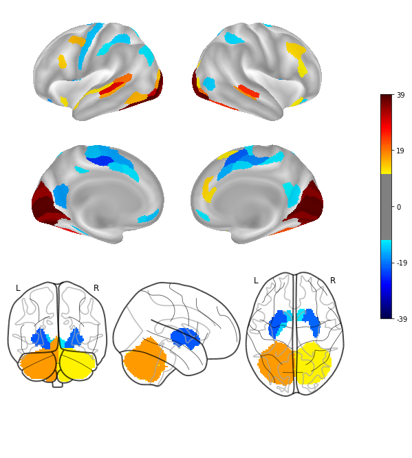 ../_images/plot_cifti_from_rois_plot_cifti_from_rois_8_0.png